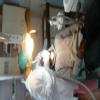 JEEVIKA DENTAL CARE Image 1