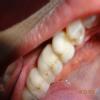 Dental Clinic & Surgery Image 1