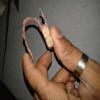 32 Signature Smiles-AHRC Dental & Faciomaxillary Clinic Image 8