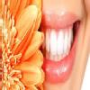 Life Line Health n Dental care Image 1