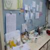 Shree Dental Clinic Image 5