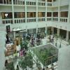 Max Super Speciality Hospital-Patparganj Image 3