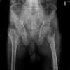 ORTHOPEDIC CLINIC- RAGHAVA MULTISPECIALITY HOSPITAL Image 1