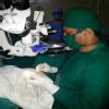 Dr. Agarwal's Eye Hospital Image 1