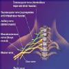 Ortho Neuro Physiotherapy Clinic Image 8