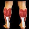 Ortho Neuro Physiotherapy Clinic Image 5