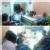 Sri Mahima Multi Speciality Homeo Clinic Image 2