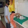 Tara Neo - Surg Hospital Image 2