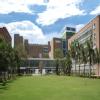 aiims Image 1