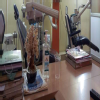 Specialist Dental Clinic Image 2