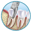 Smile Xpertz Image 6