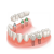 Smile Xpertz Image 4