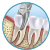 Smile Xpertz Image 6