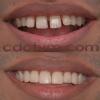 SEVA DENTAL CLINIC Image 3