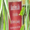 Blossom Women's Clinic Image 2
