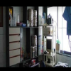 Lotus ENT Hospital Image 2