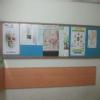 ENT Clinic Image 3