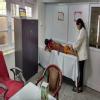Dr. Richa's Ayurvedic Clinic Image 2