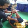 Foster Physio Sports Injury and Pain Clinic Image 1