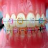 DENTIST TREE Image 2