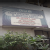 City Homeo Clinic Image 1