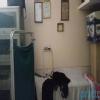 Sangeeta Clinic Image 3