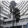 Chittaranjan Sishu Sadan Hospital Image 2
