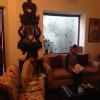 Diet Clinic - Ludhiana Image 7
