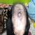 Purna Ayurveda Cosmetic Slimming & Dental Clinic Image 9