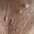 Purna Ayurveda Cosmetic Slimming & Dental Clinic Image 8