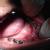 Dhanwanth Dental Care & Implant Center Image 10