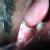 Dhanwanth Dental Care & Implant Center Image 16