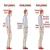 DR CHOPRA'S SPINE JOINT SOLUTIONS INDIA ORTHO CENTRE Image 2