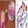 sri siddhivinayak medical research Image 1