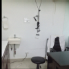 Health First Wellness Clinic Image 2
