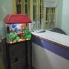 MAA GAYATRI DENTAL CLINIC Image 3