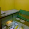 homoeopathic pure cure Image 2