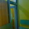homoeopathic pure cure Image 3