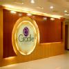 Apollo Cradles - Marathahalli Image 2