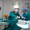 DR ASHOK'S DENTISTREE Image 2