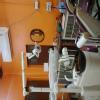 ORAL CARE DENTAL CLINIC Image 3