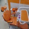Dental Doves Image 1