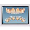 MUSKAN DENTAL CLINIC & IMPLANT CENTRE Image 3