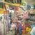 Smarty Dogs Clinic Image 2