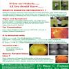 Dr Mannu Laser Eye Surgeries Image 3