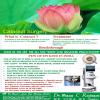 Dr Mannu Laser Eye Surgeries Image 2