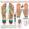 Acupressure Health Care System Image 6