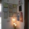 Dr. Gupta's Dental & Braces Clinic Image 1
