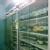 Dr Jaiswals Homoeopathy Clinic Image 3