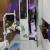 abc dentistry Image 5